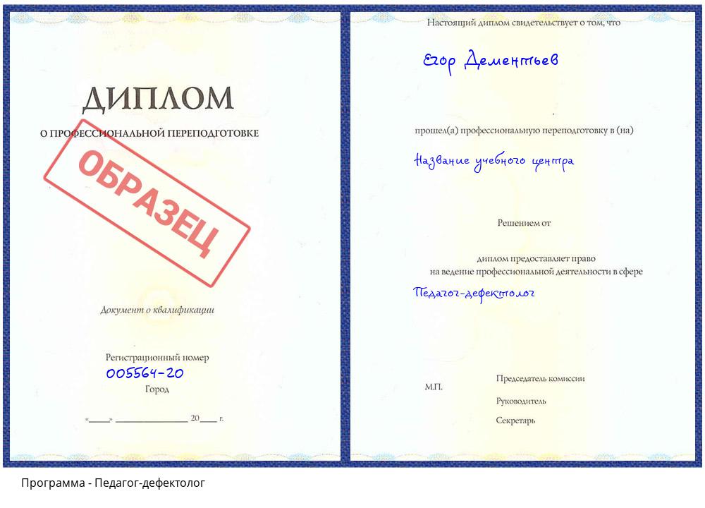 Педагог-дефектолог Камышин