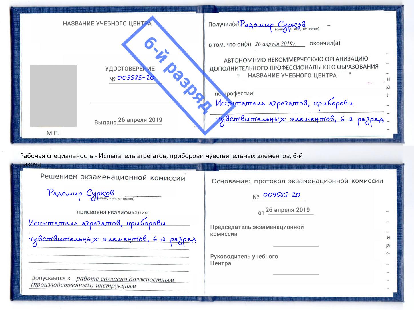 корочка 6-й разряд Испытатель агрегатов, приборови чувствительных элементов Камышин