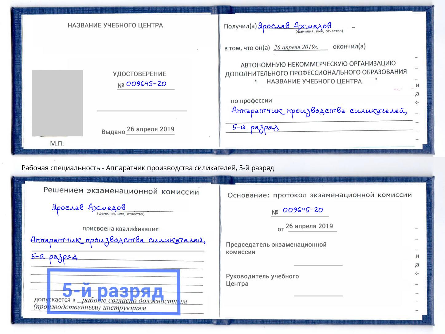 корочка 5-й разряд Аппаратчик производства силикагелей Камышин