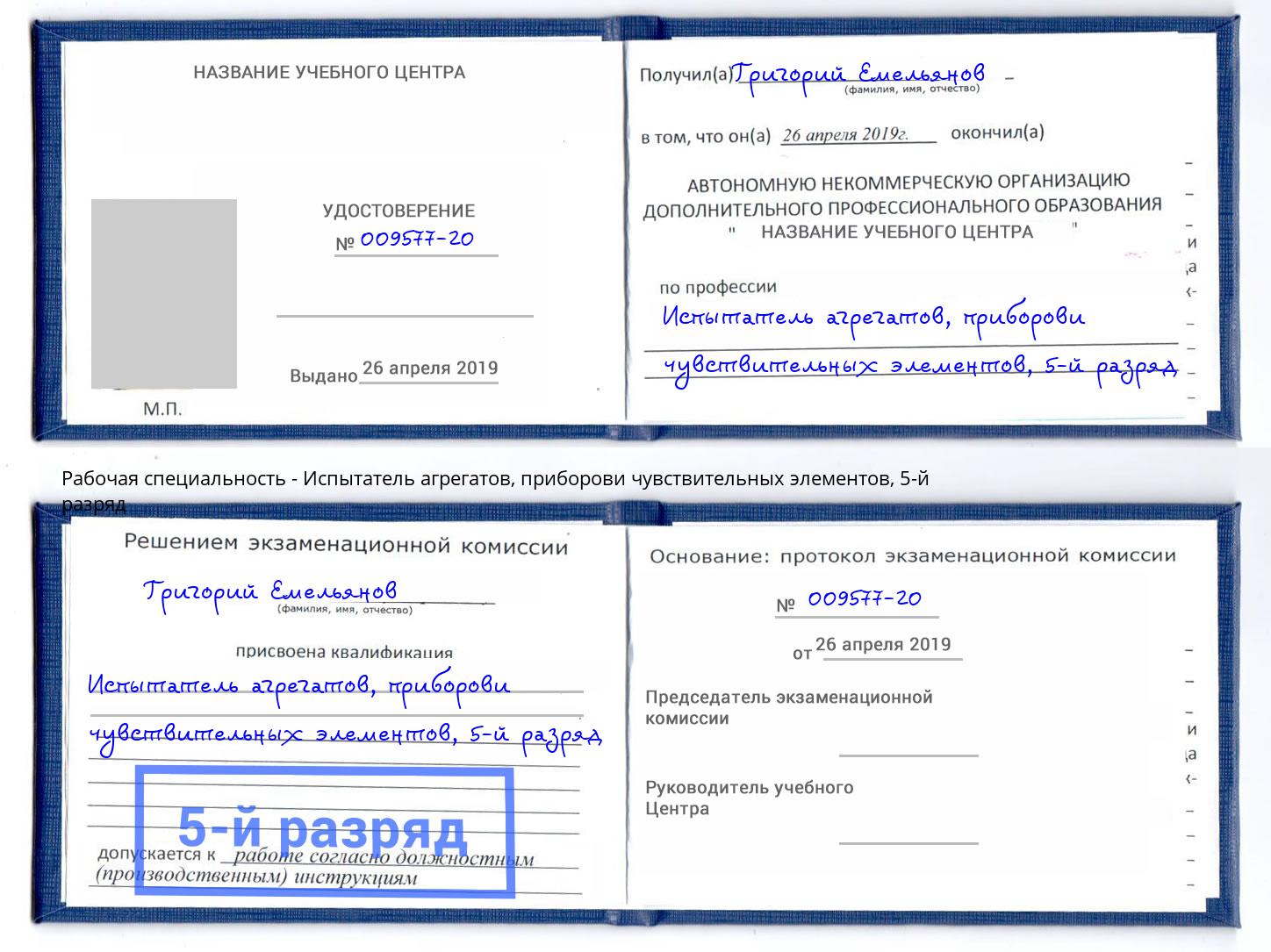 корочка 5-й разряд Испытатель агрегатов, приборови чувствительных элементов Камышин